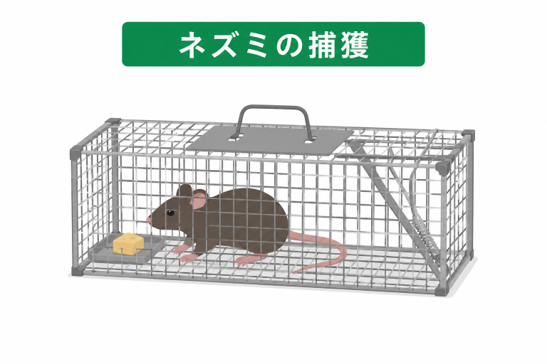 捕獲(トラップ・粘着)